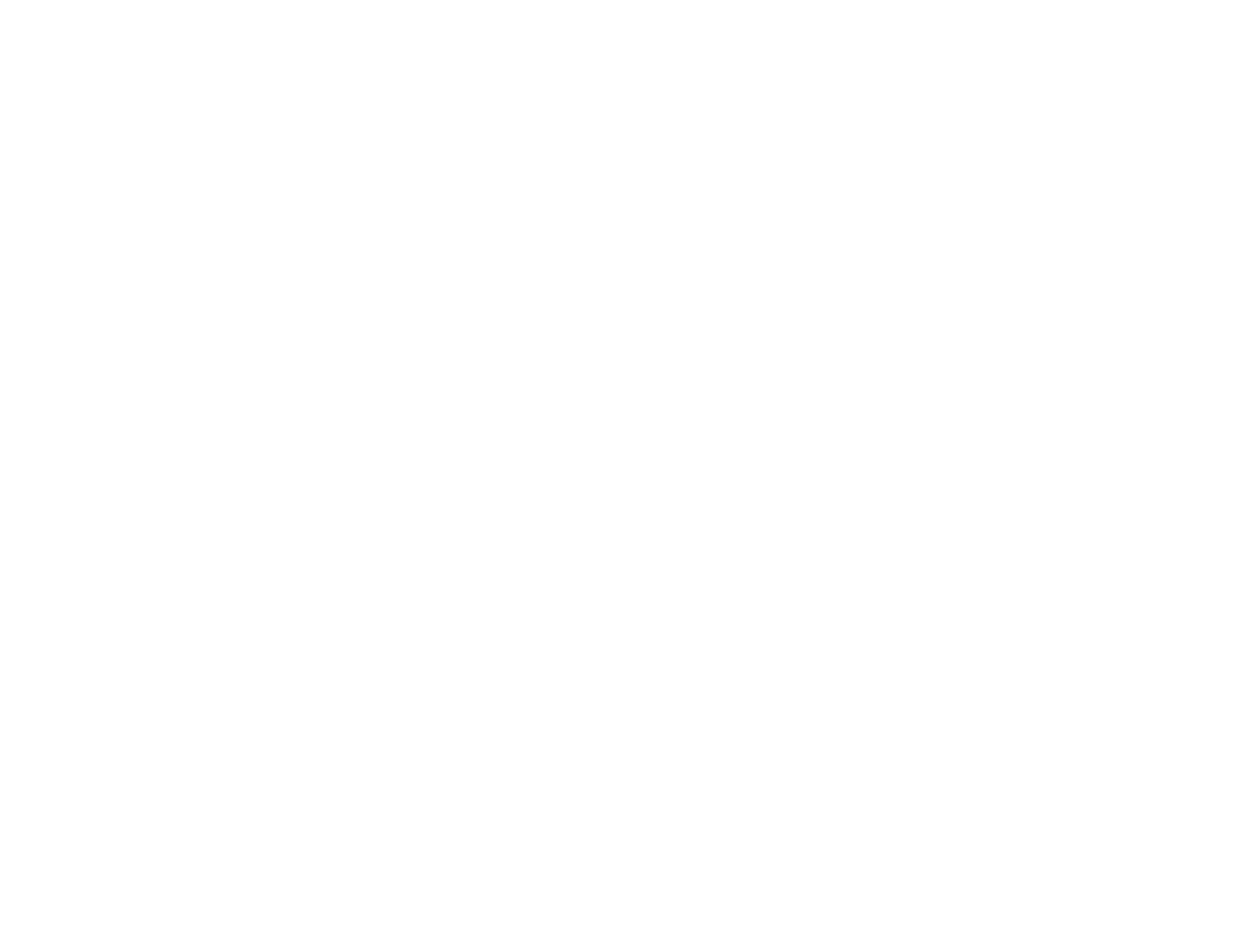 Nayara Media Logo